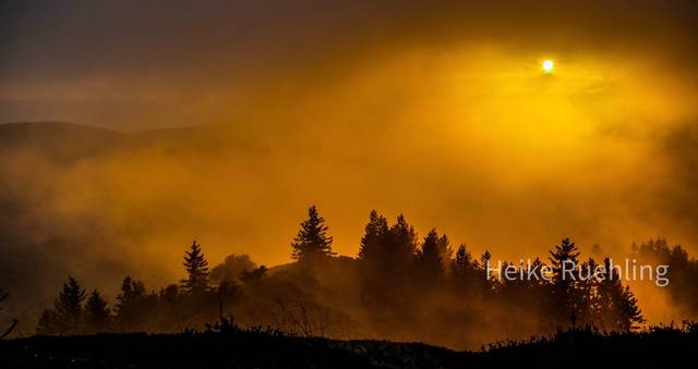 Foto von Heike Rühling