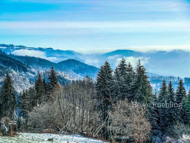 Foto von Heike Rühling