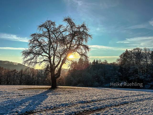 Foto von Heike Rühling