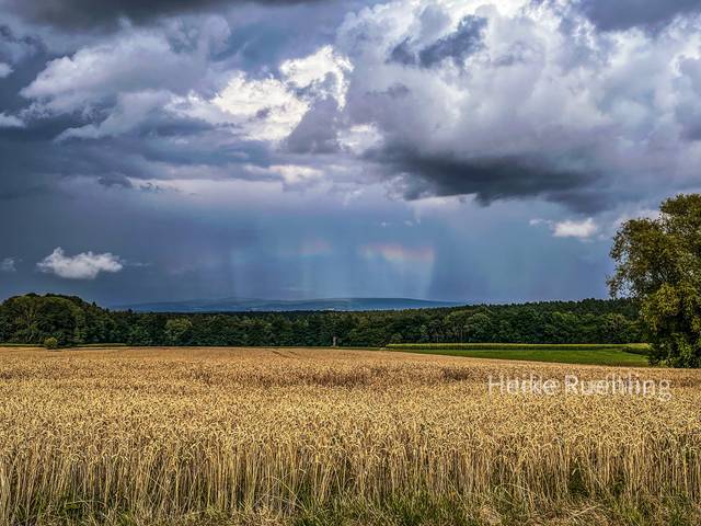 Foto von Heike Rühling