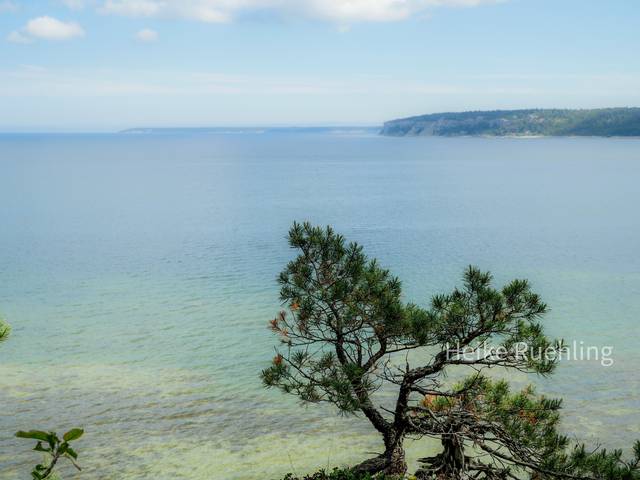 Foto von Heike Rühling