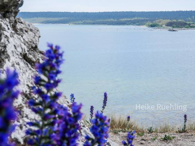 Foto von Heike Rühling