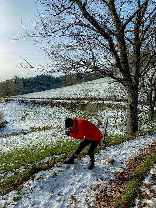 Foto von Heike Rühling
